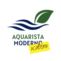 Aquarista Moderno Academy